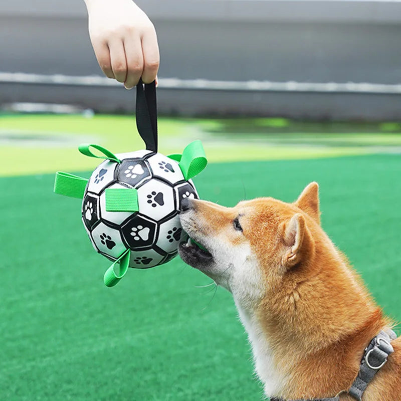 Balón de Fútbol Interactivo para Perro